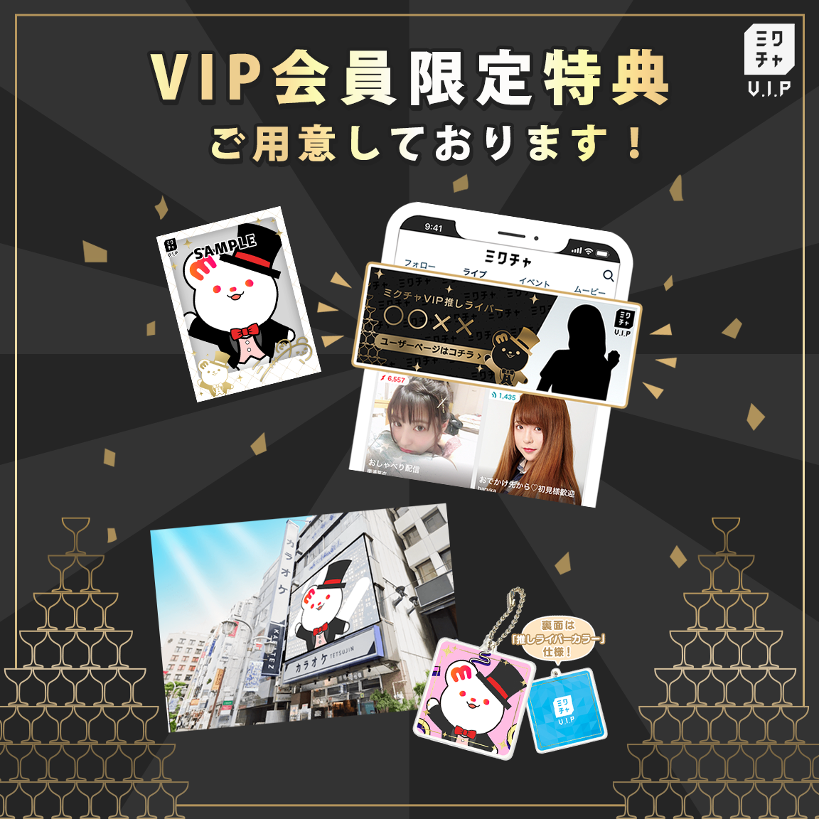 ミクチャVIPってなに？