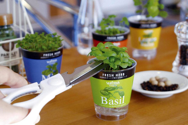 ハーブ栽培キットwithオーガニックライフ