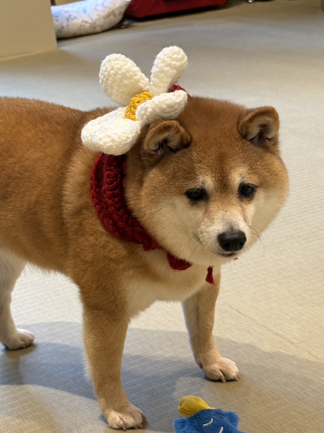 slider_image2